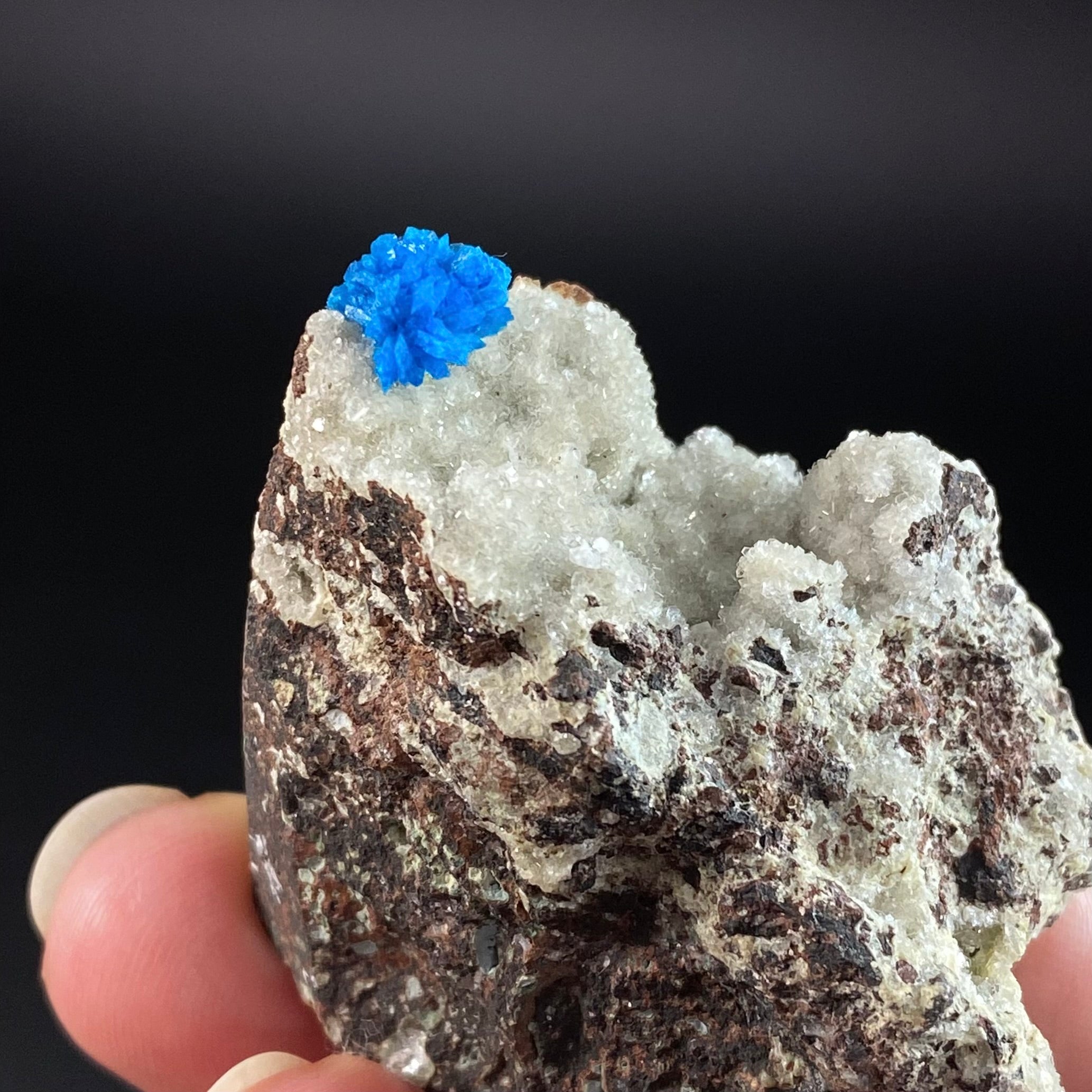 Vibrant Blue Cavansite Cluster on Druzy Stilbite & Basalt Matrix