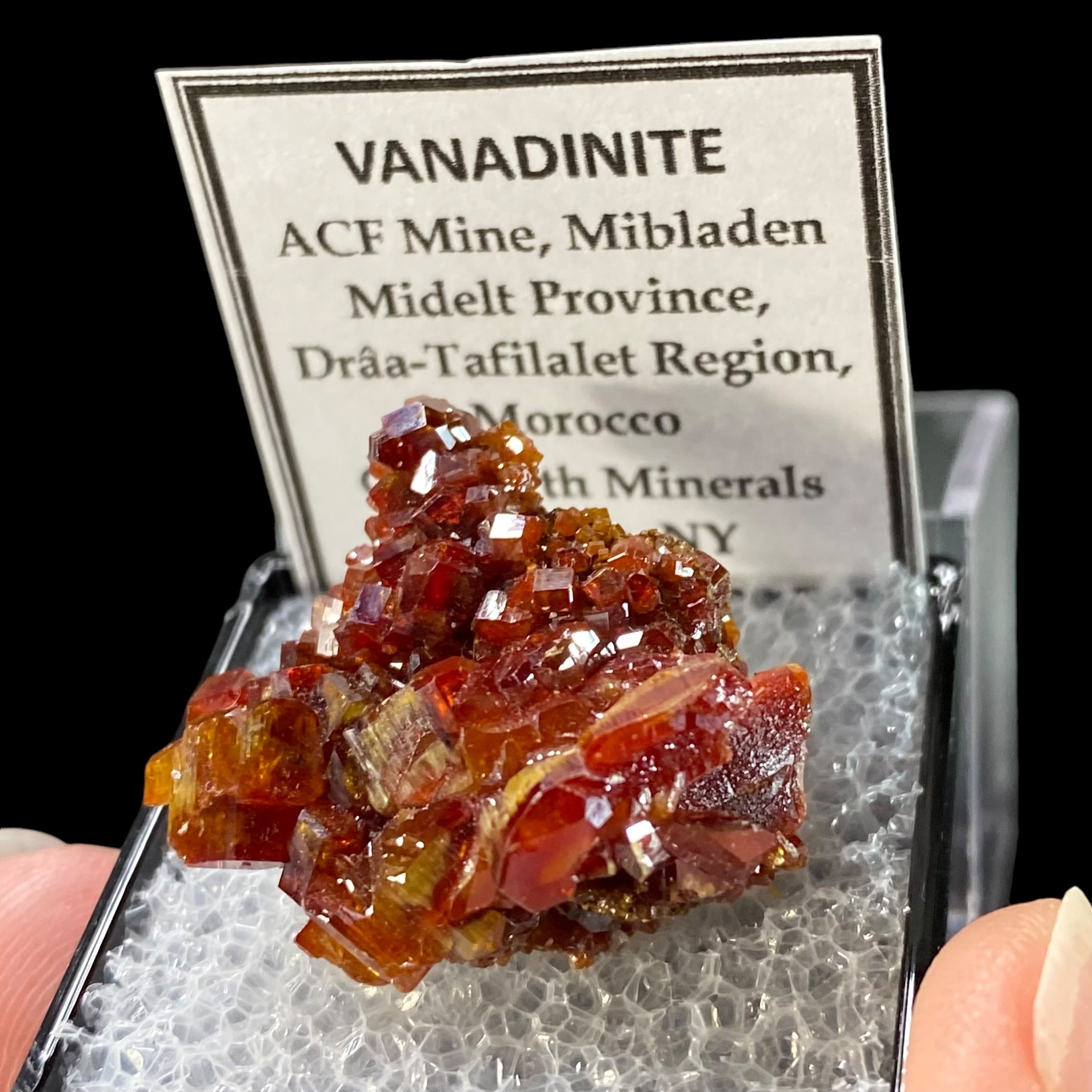 Gemmy Vanadinite Thumbnail Size Cluster in Perky Box