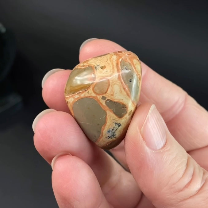 Leopard Skin Rhyolite Jasper Tumble Stone - Phosphorescent Glow with UV