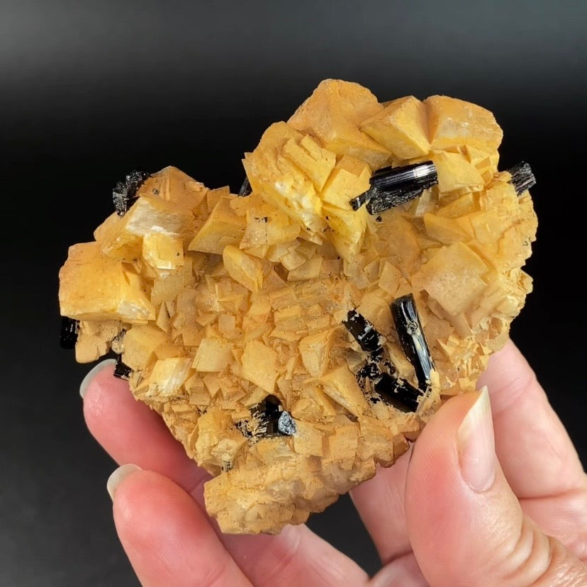 Black Tourmaline Schorl Crystals on Feldspar Matrix