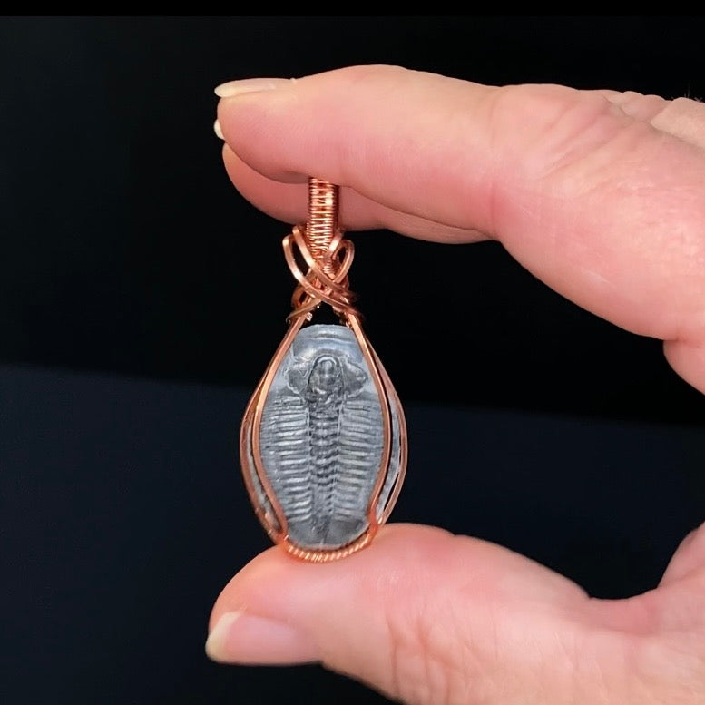 Fossilized Trilobite & Copper Wire Wrapped Handmade Pendant