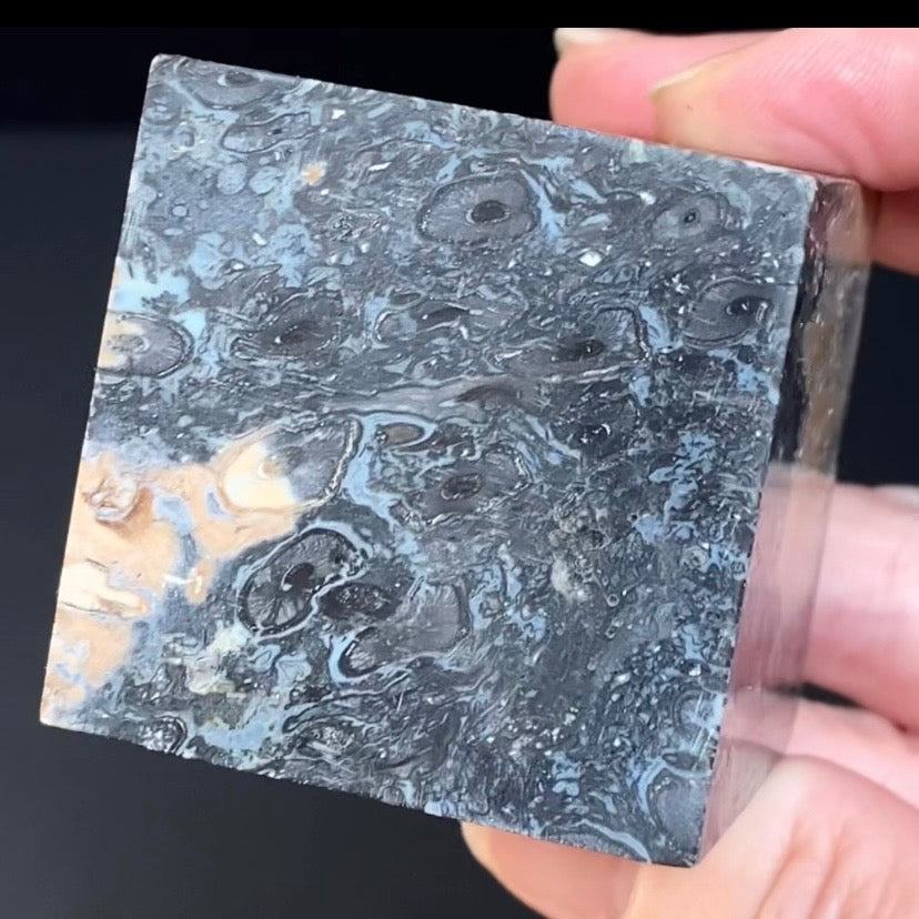 Fossilized Palm Root Ball Polished Cube from Sumatra, Indonesia