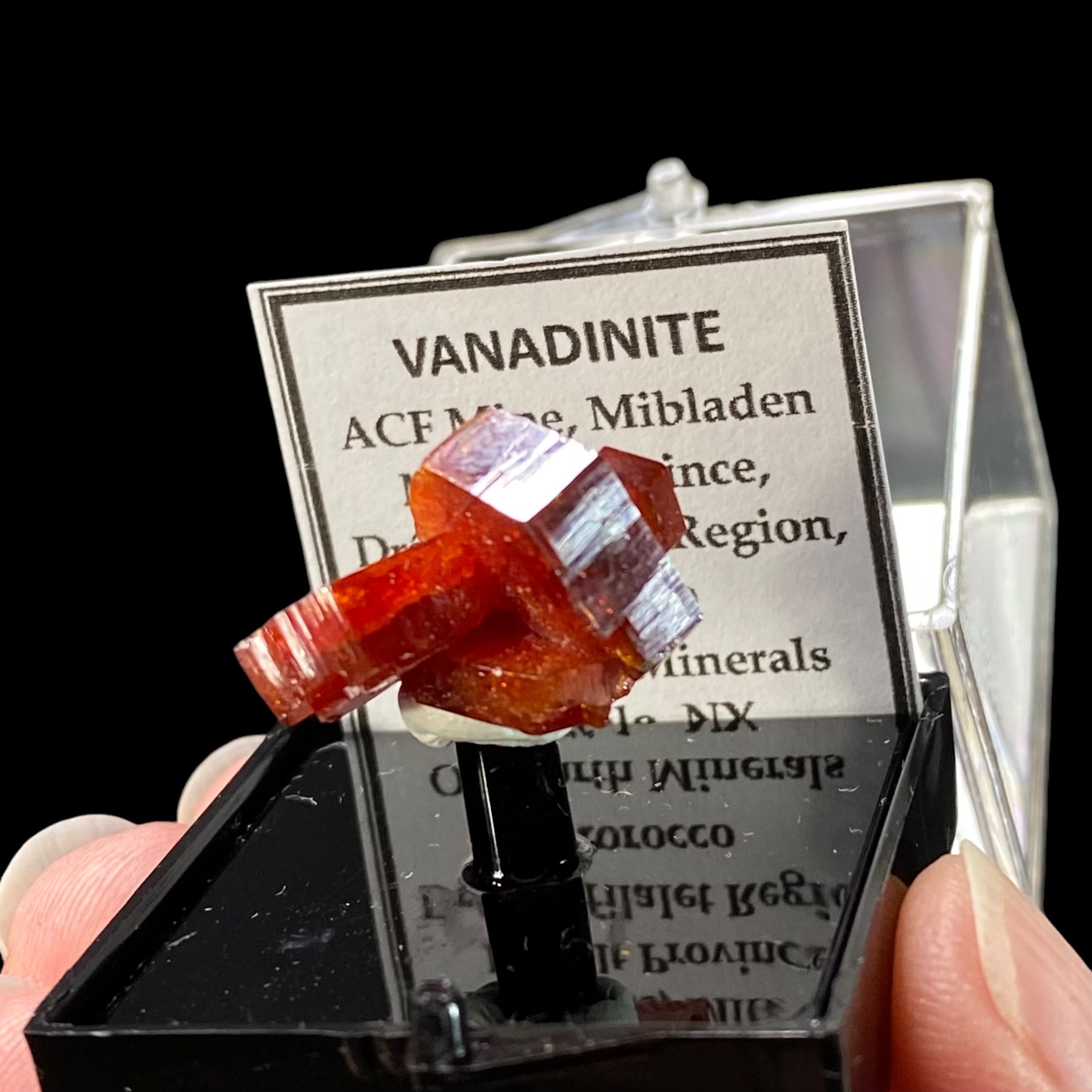 Gemmy Vanadinite Thumbnail Size Cluster in Perky Box