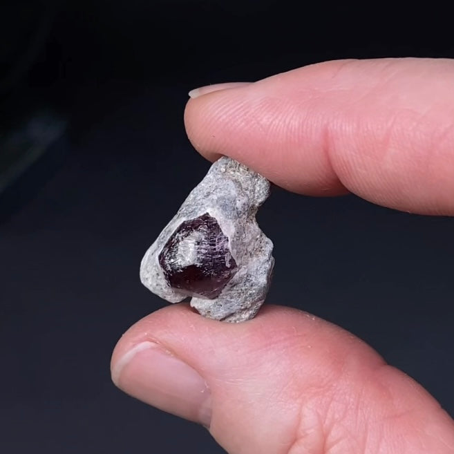 Red Garnet Crystal on Mica Schist Specimen from Pakistan
