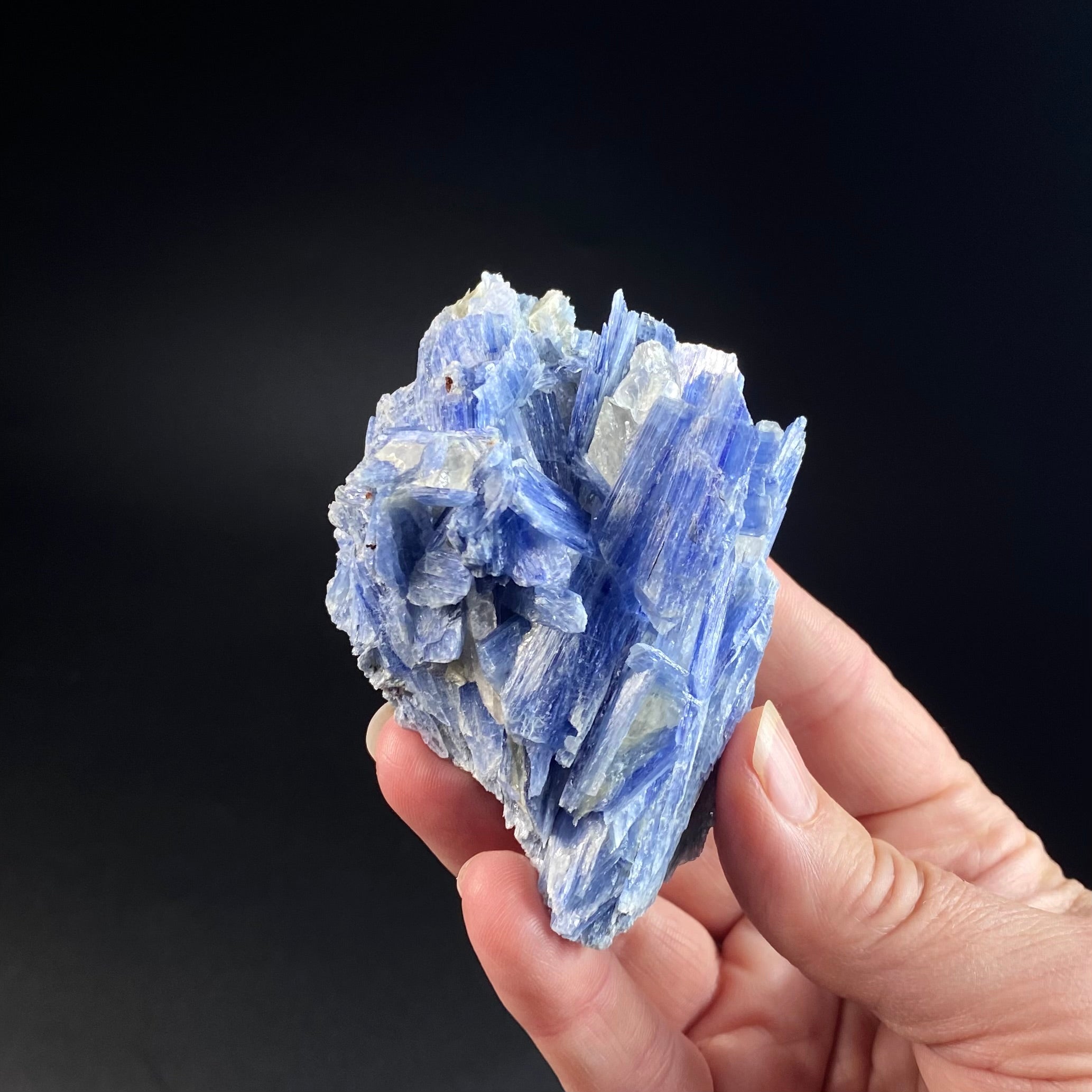 Blue Kyanite and Quartz Specimen from Minas Gerais, Brazil