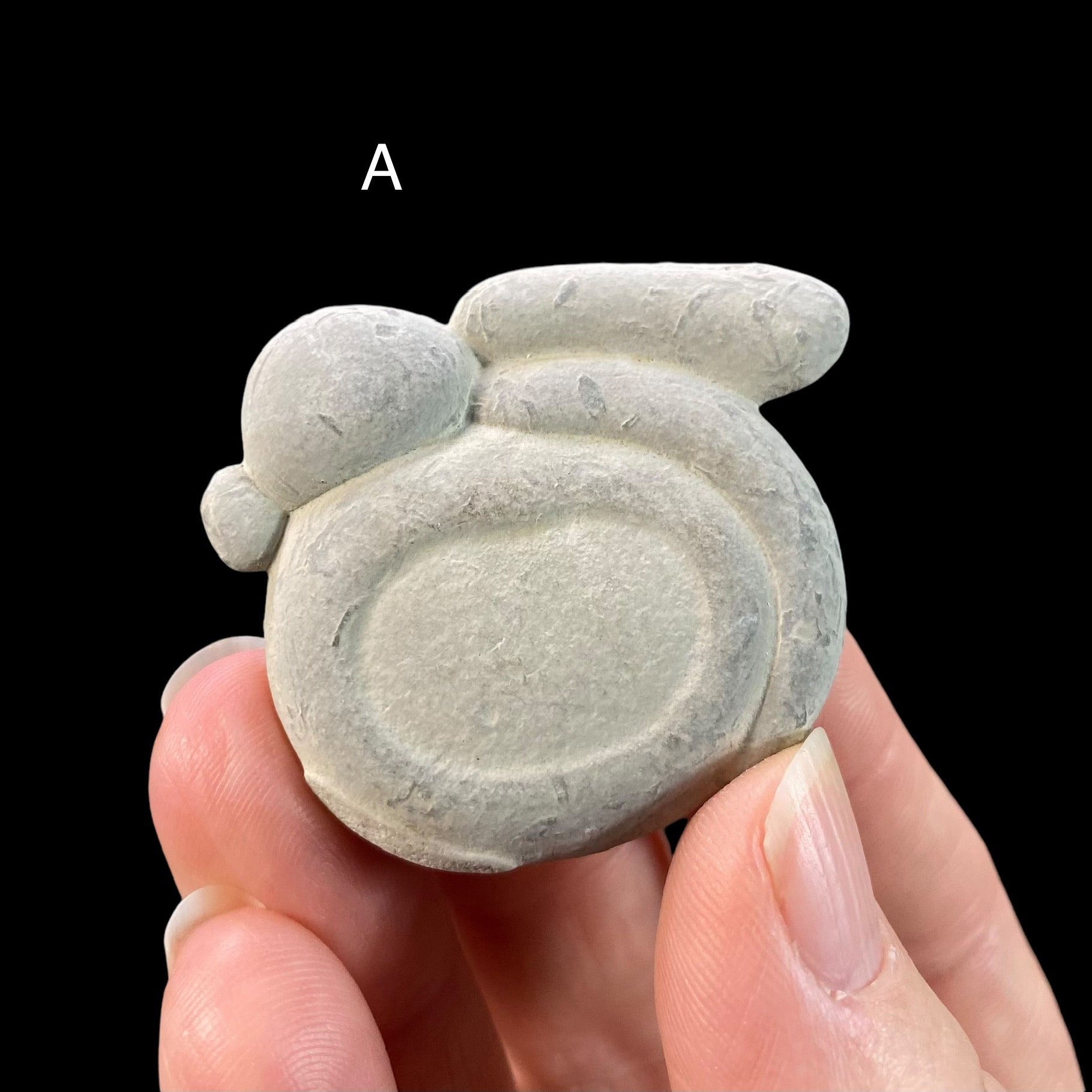 Glacial Concretion Fairy Stones from Quebec, Canada