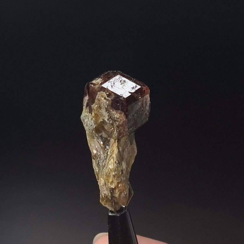 Garnet Crystal on Mica