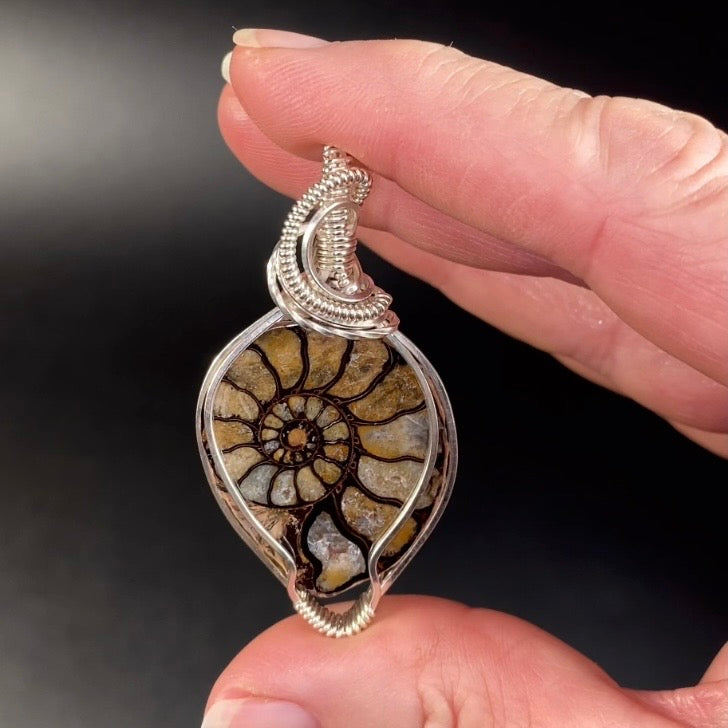 Polished Ammonite Fossil & Sterling Silver Wire Wrapped Pendant