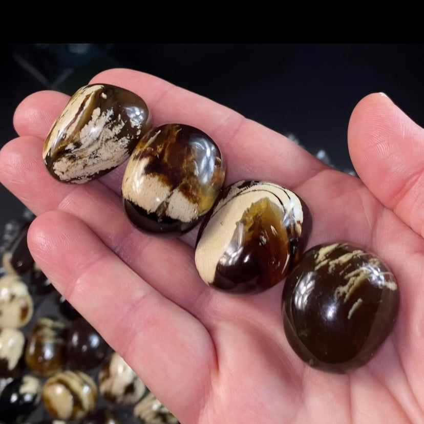 Sumatran Zebra Amber Tumble, Natural Fossil Amber with Intricate Caramel Patterning