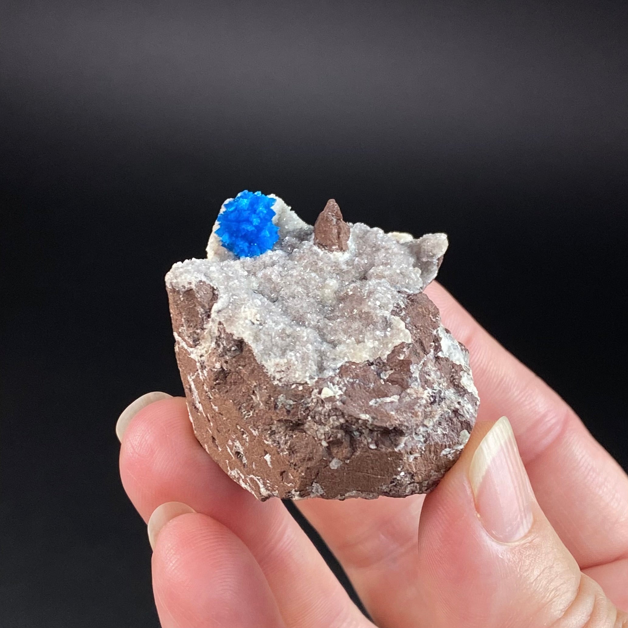 Vibrant Blue Cavansite Cluster on Druzy Stilbite & Basalt Matrix