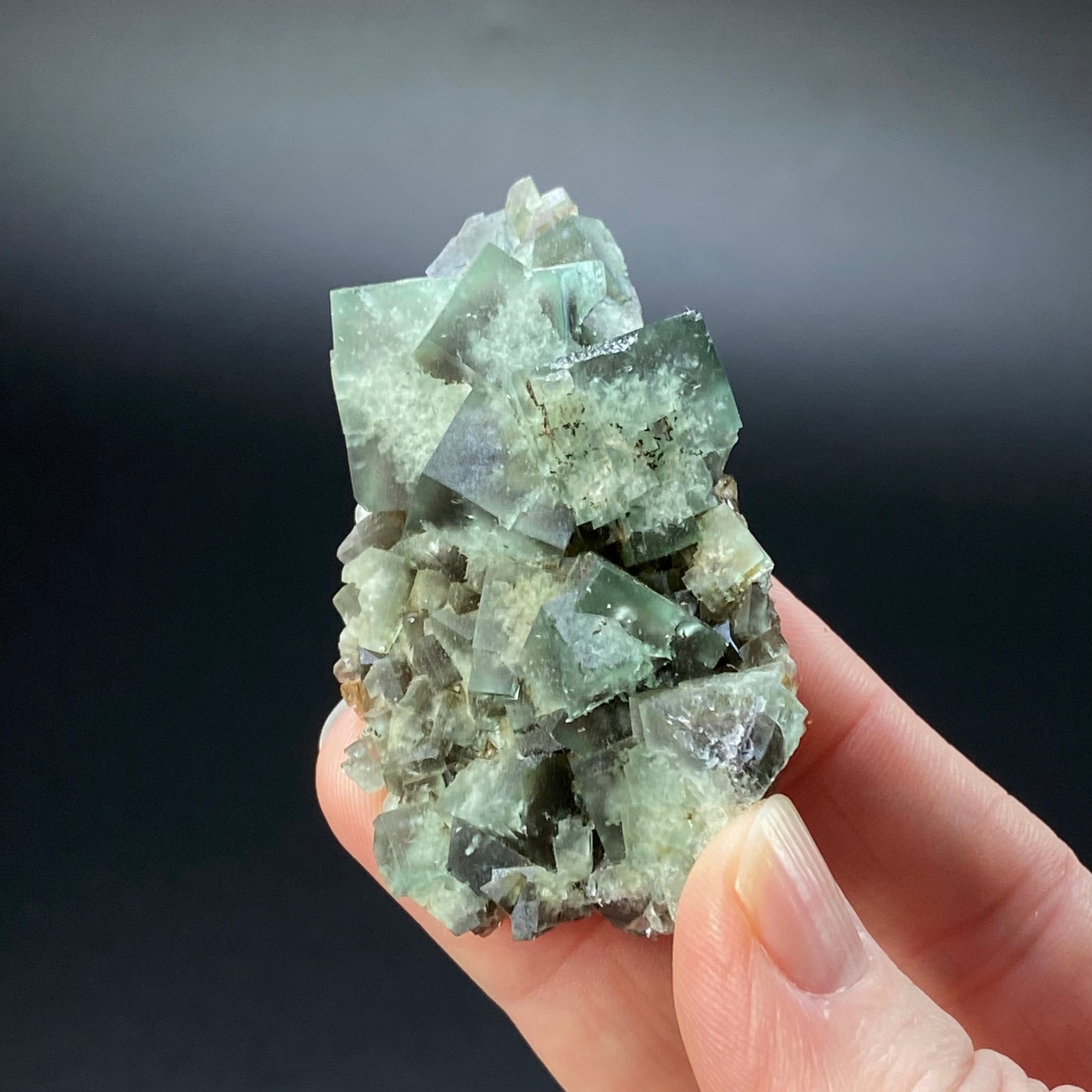 Diana Maria Mine Green Cubic Fluorite Cluster