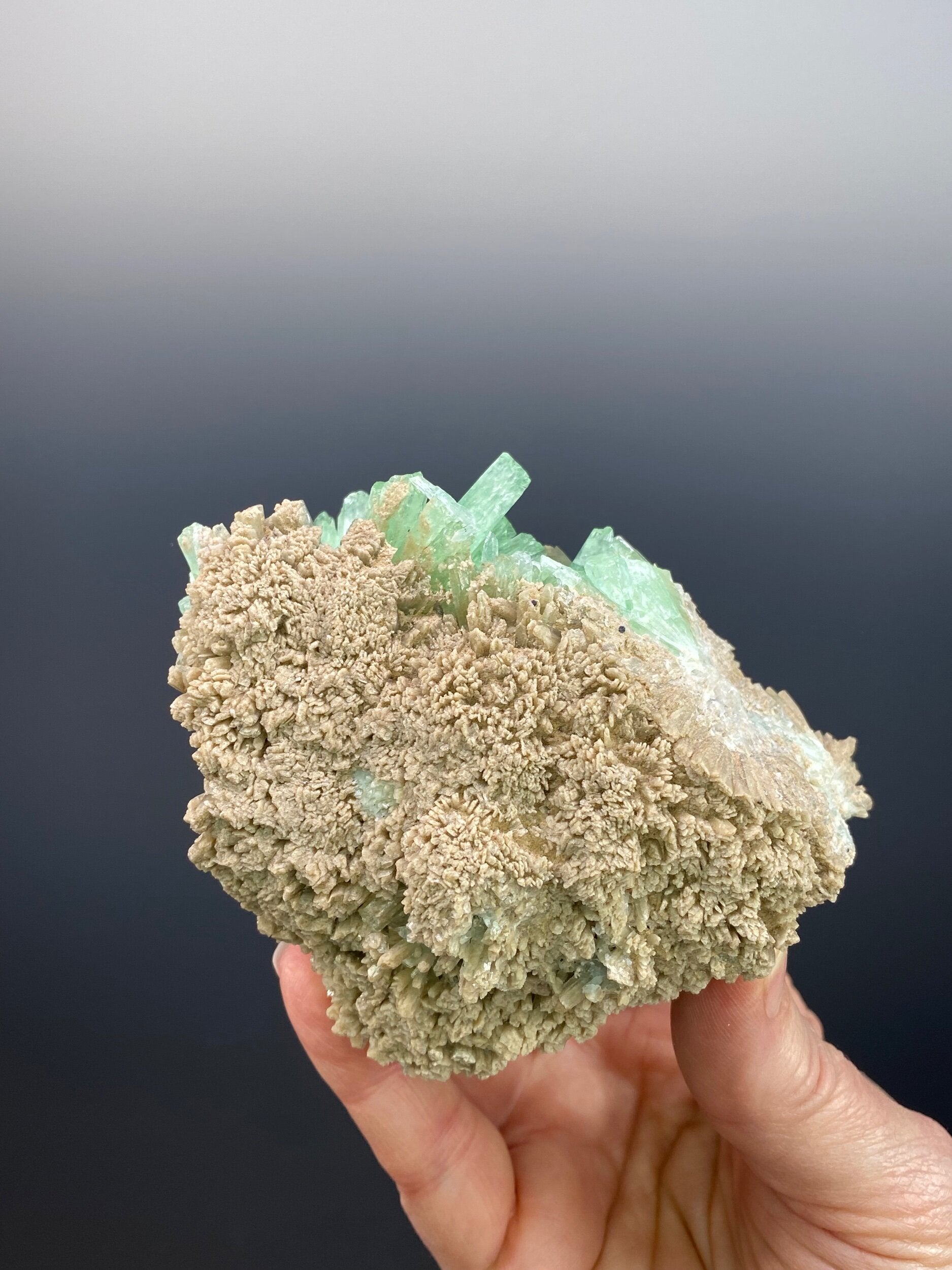 Green & Brown Radiating Aragonite Cluster - Green Areas Phosphorescent