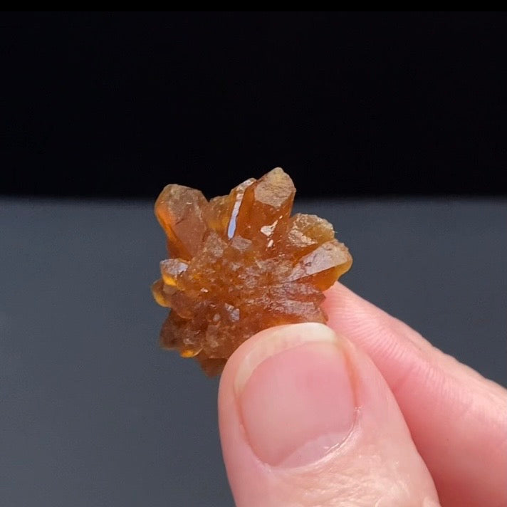 Floater Citrine Colored Honey Brown Quartz Flower Cluster - Midelt, Morocco
