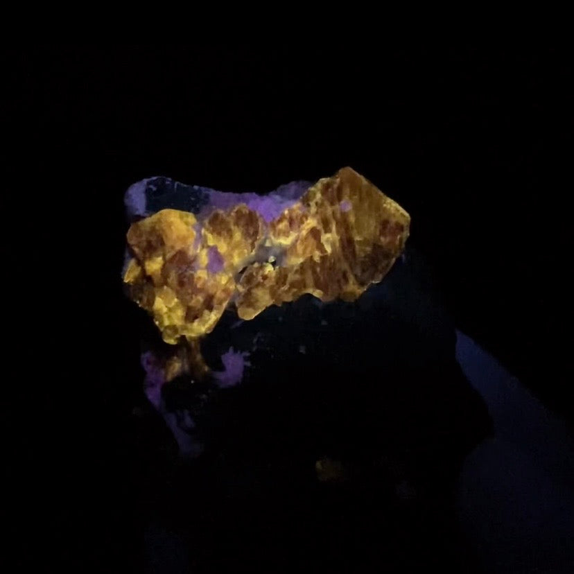 Zircon Crystal with Fluorescent Apatite Inclusions, Biotite-Calcite Schistose matrix, Astore Valley, Pakistan