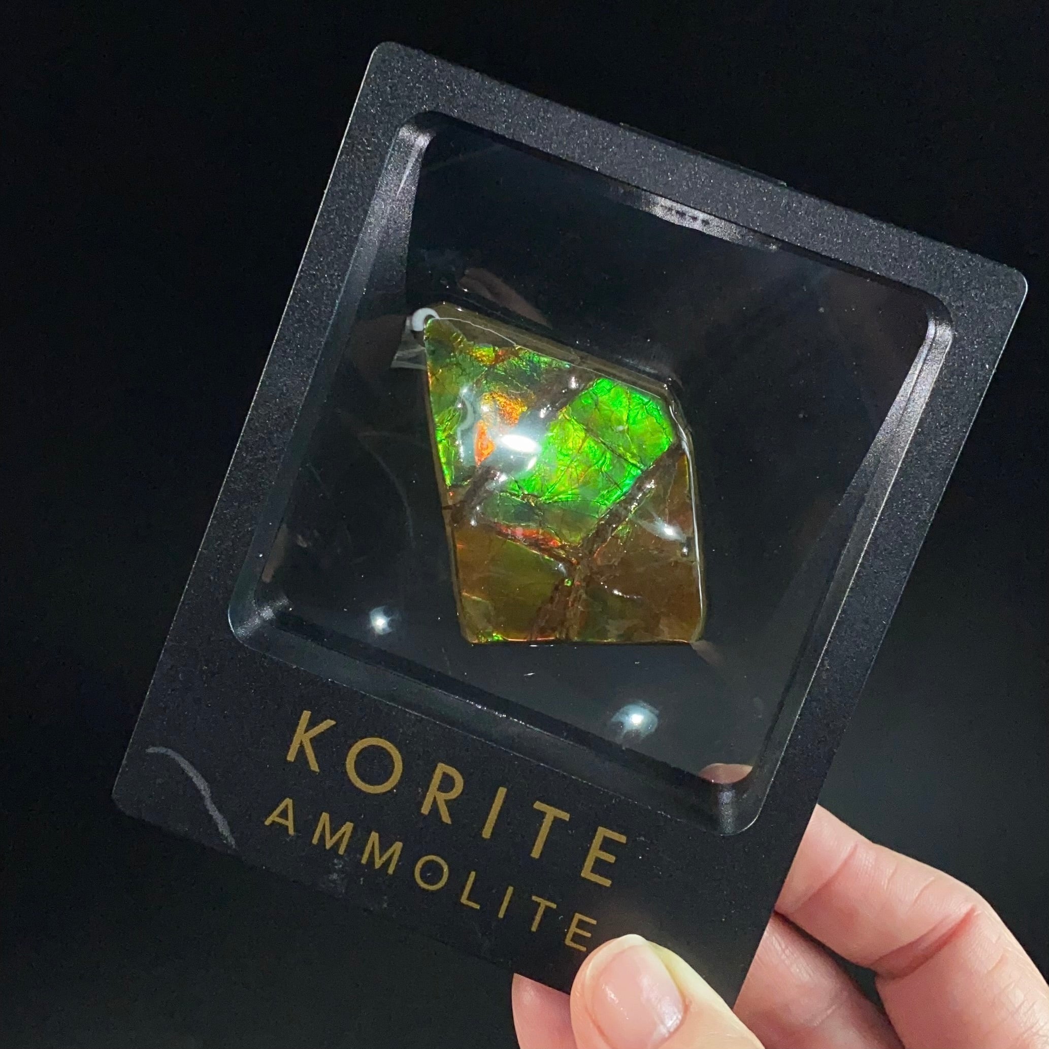 Canadian Korite Ammolite Hand Specimen in Display Box