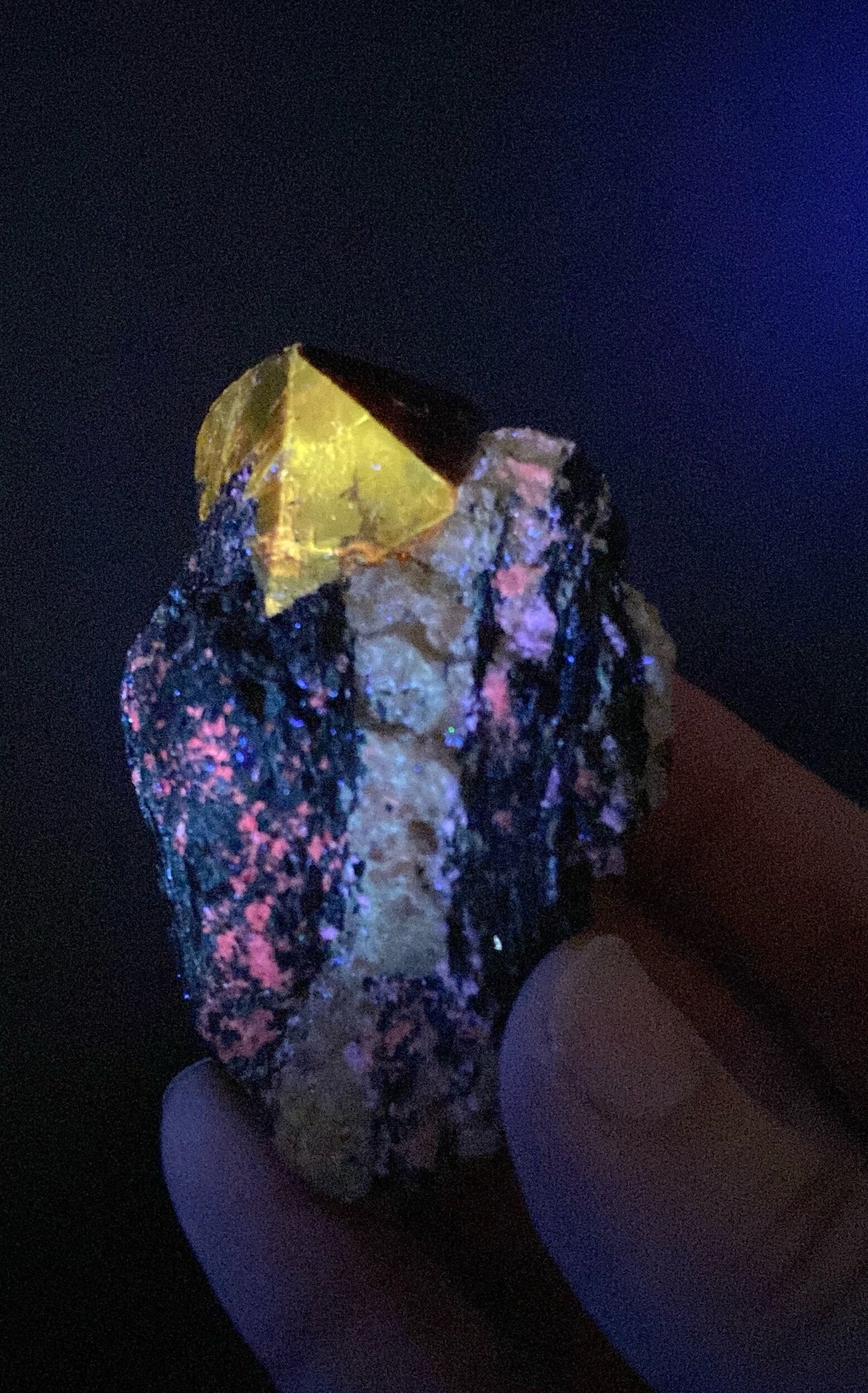 Zircon Crystal with Fluorescent Apatite Inclusions, on Biotite Matrix, Astore Valley, Pakistan