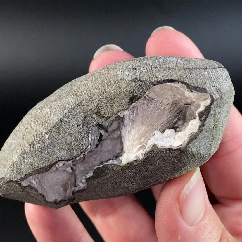 Radiating Scolecite Crystals with Mordenite in Trimmed Basalt Pocket