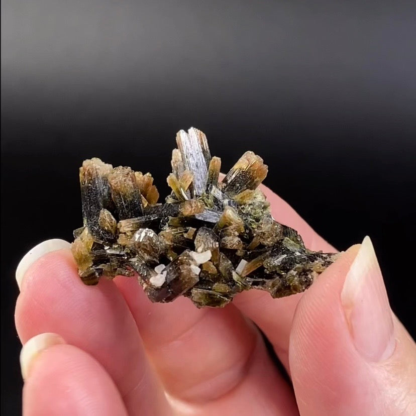 Etched Tip Bi-Color Epidote Crystal Cluster