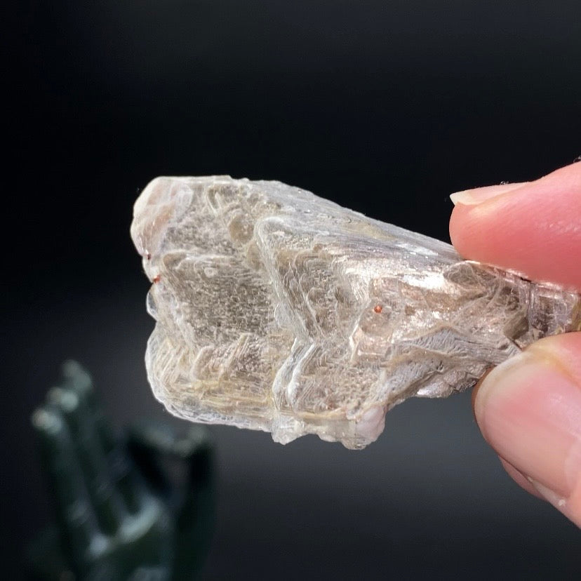 Spessartine Garnets on Muscovite Mica, Shigar Valley, Pakistan