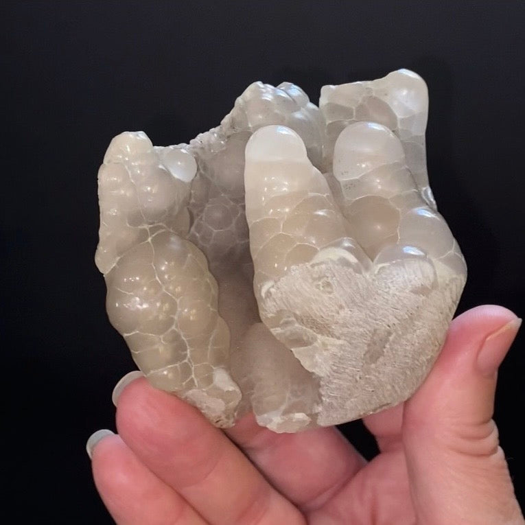 Botryoidal Chalcedony Formed in Basalt Vesicle – Maharashtra, India