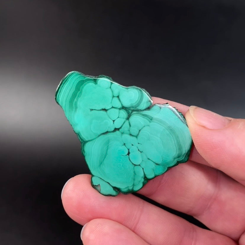 Malachite Polished Slice, Kolwezi, DR Congo