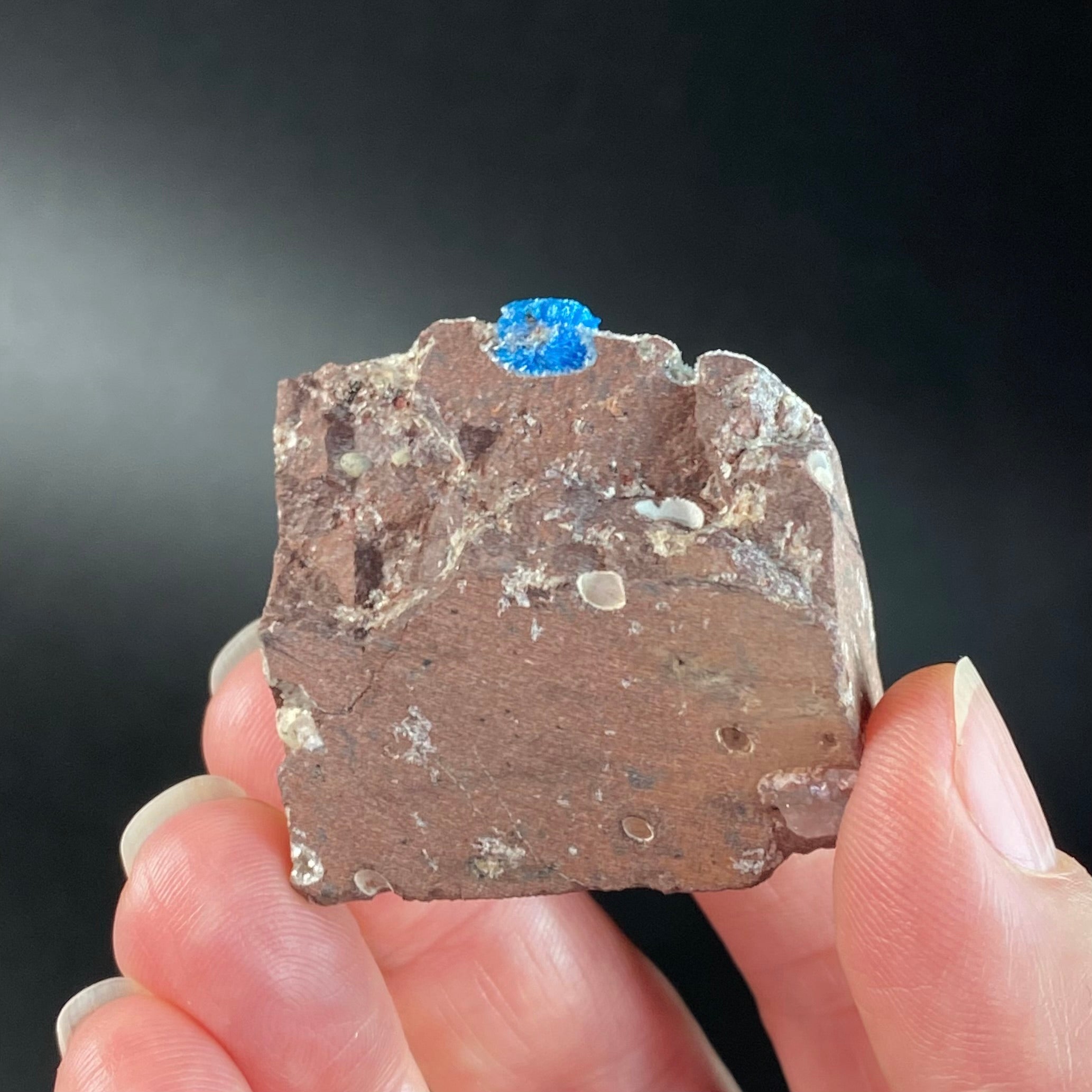 Vibrant Blue Cavansite Cluster on Druzy Stilbite & Basalt Matrix