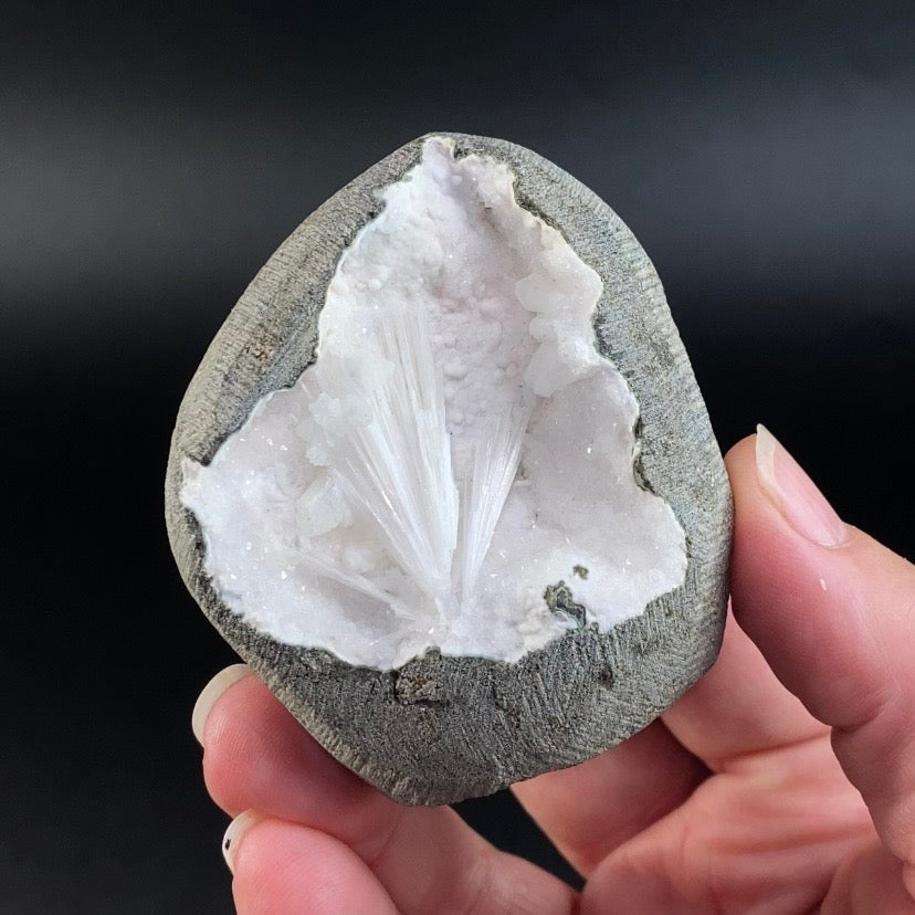 Scolecite with Apophyllite, Stilbite & Mordenite in Trimmed Basalt Geode Pocket