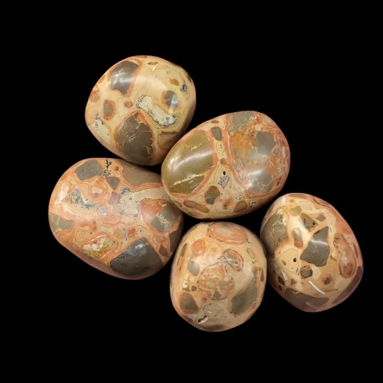Leopard Skin Rhyolite Jasper Tumble Stone - Phosphorescent Glow with UV