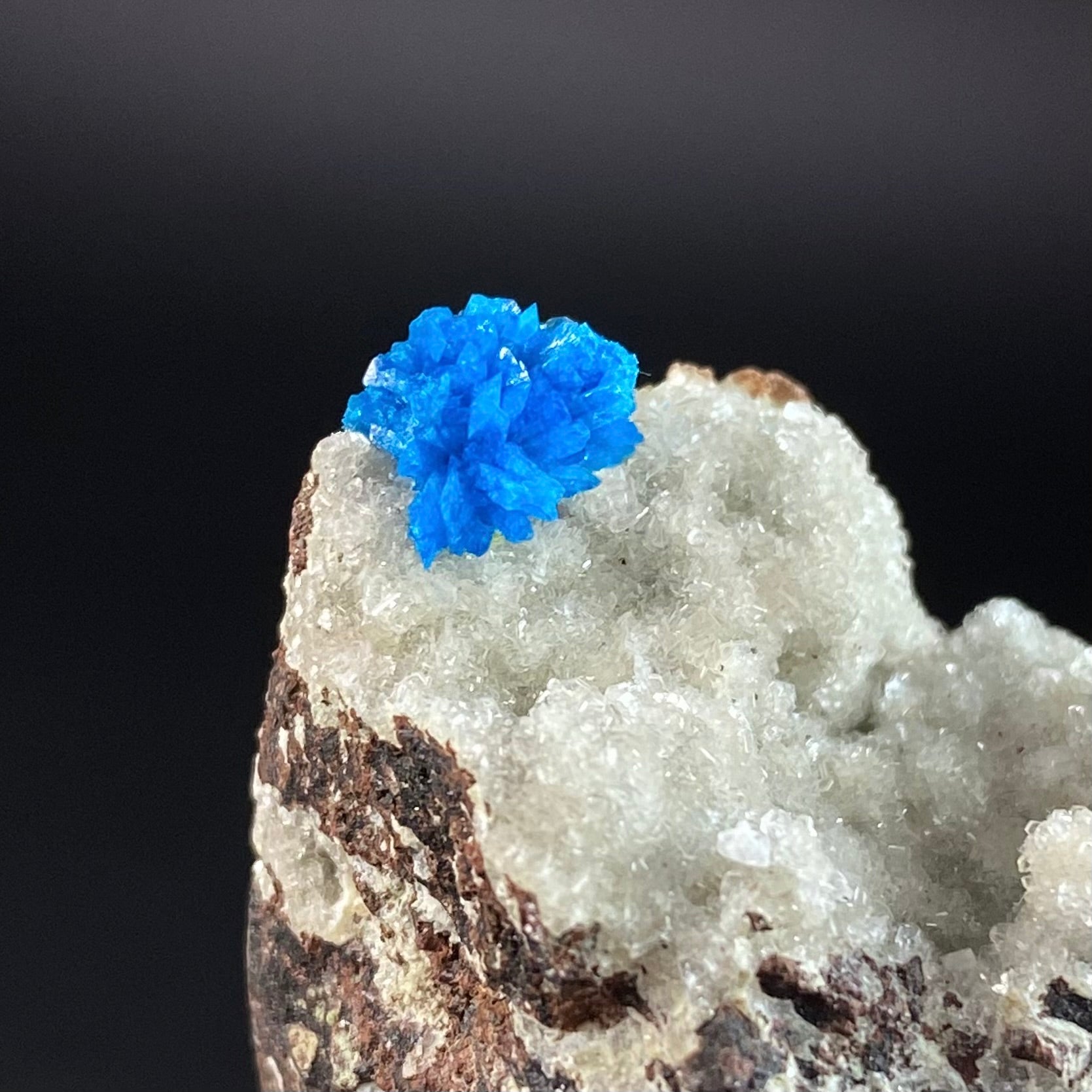 Vibrant Blue Cavansite Cluster on Druzy Stilbite & Basalt Matrix