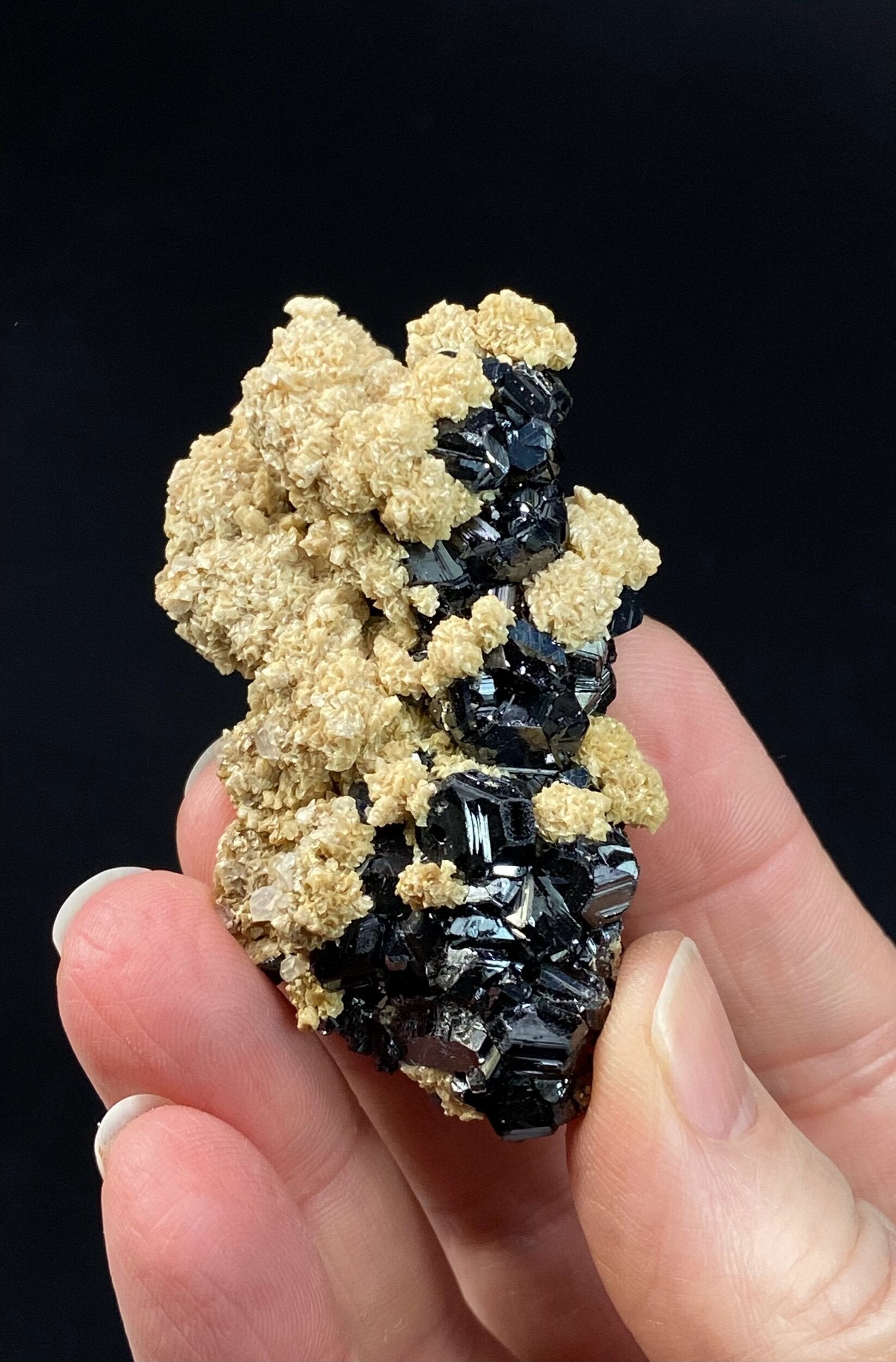 Sphalerite Cluster with Siderite from Trepca Mine Complex, Mitrovica, Kosovo