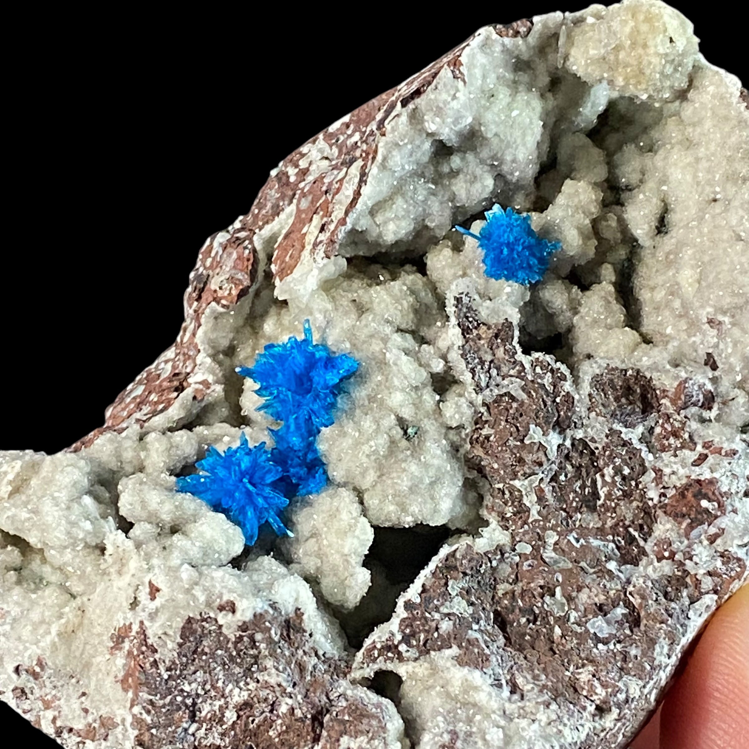 Vibrant Blue Pentagonite Clusters on Druzy Stilbite & Basalt Matrix