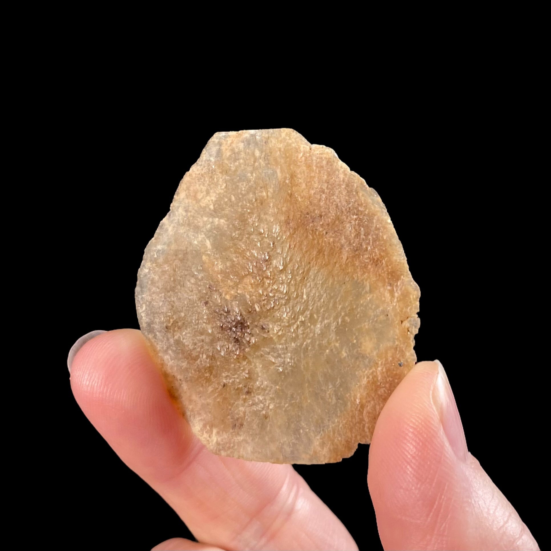 Gypsum var. Selenite Desert Rose Sand Crystal Dollar, Fluorescent