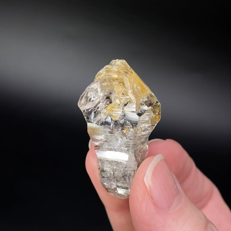 Fenster Scepter Quartz Crystal with Golden Clay Inclusions