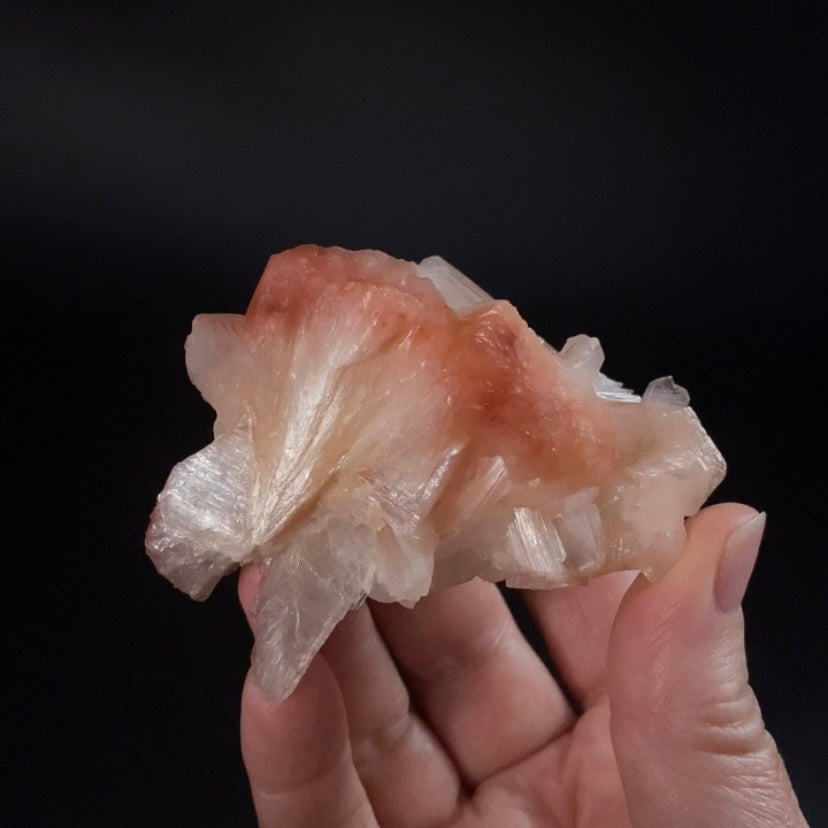 Peach and Red Hematite Stilbite Cluster, Maharashtra, India