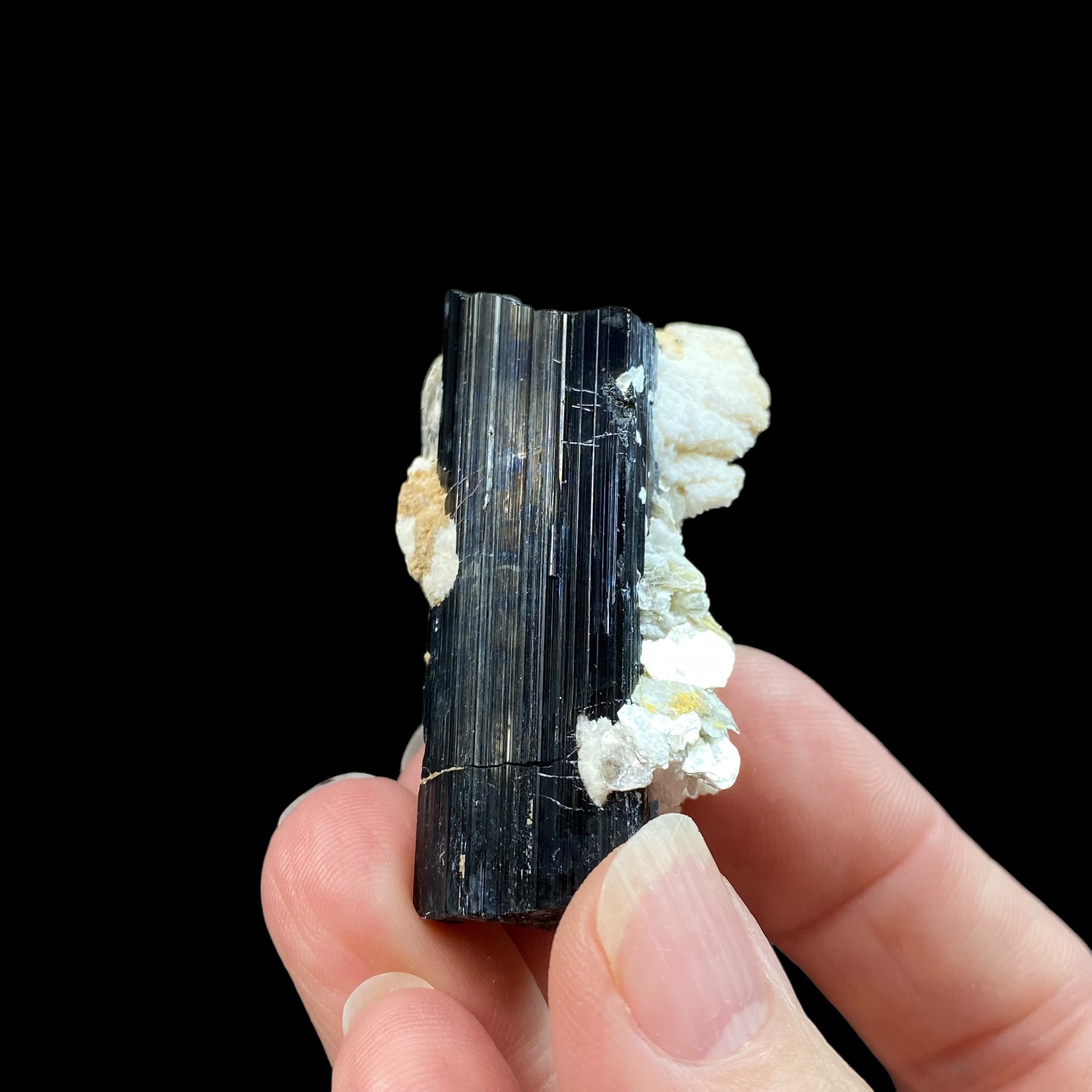 Black Tourmaline Schorl Crystal with Muscovite Mica