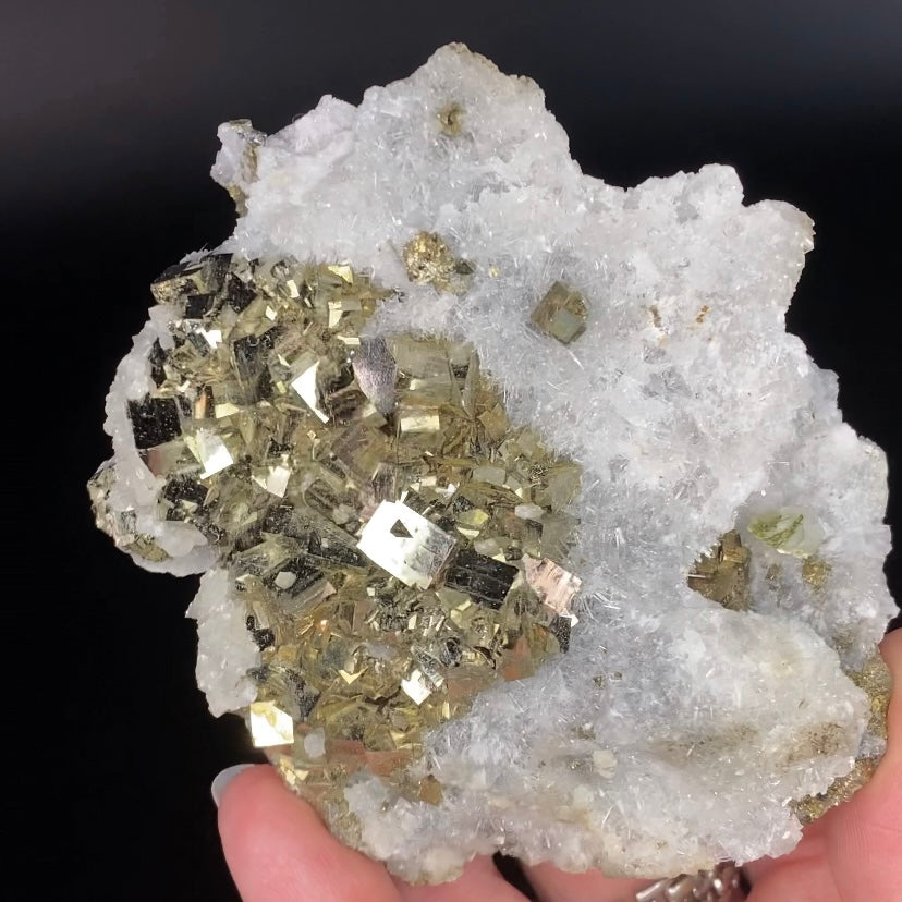 Cubic Pyrite & Clear Needle Quartz Crystals on Matrix