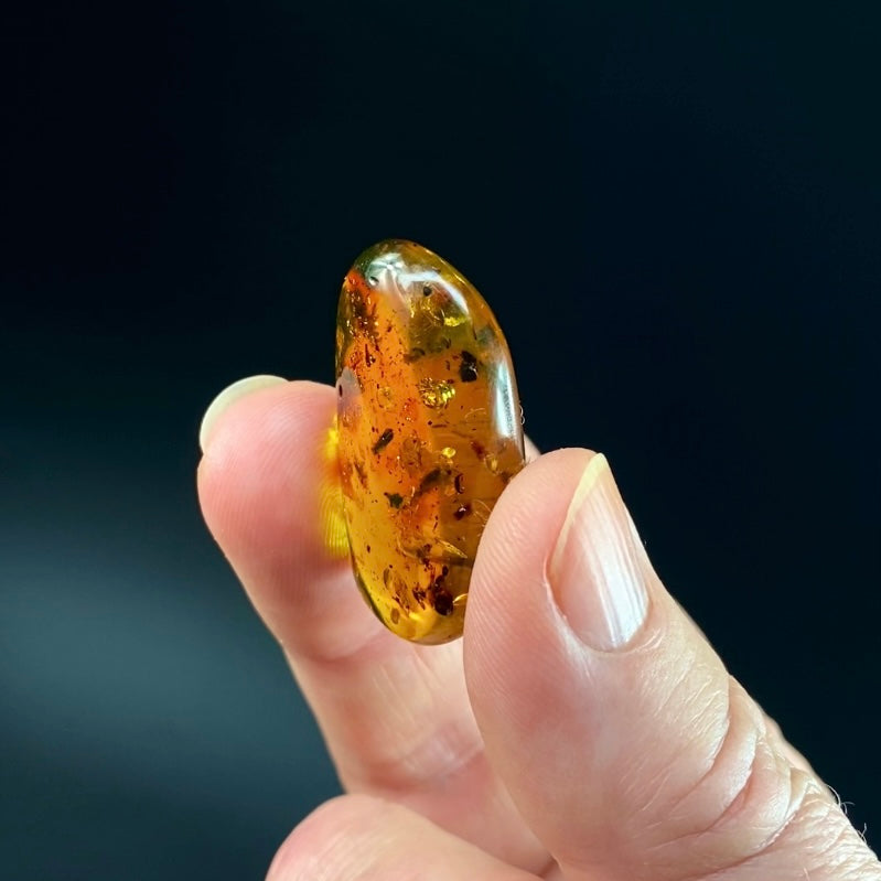 Polished Amber with Inclusions from Cimitarra, Colombia