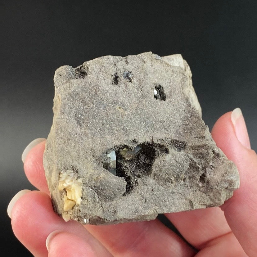 Four Herkimer Diamond Quartz Crystals in Matrix from Herkimer County, NY