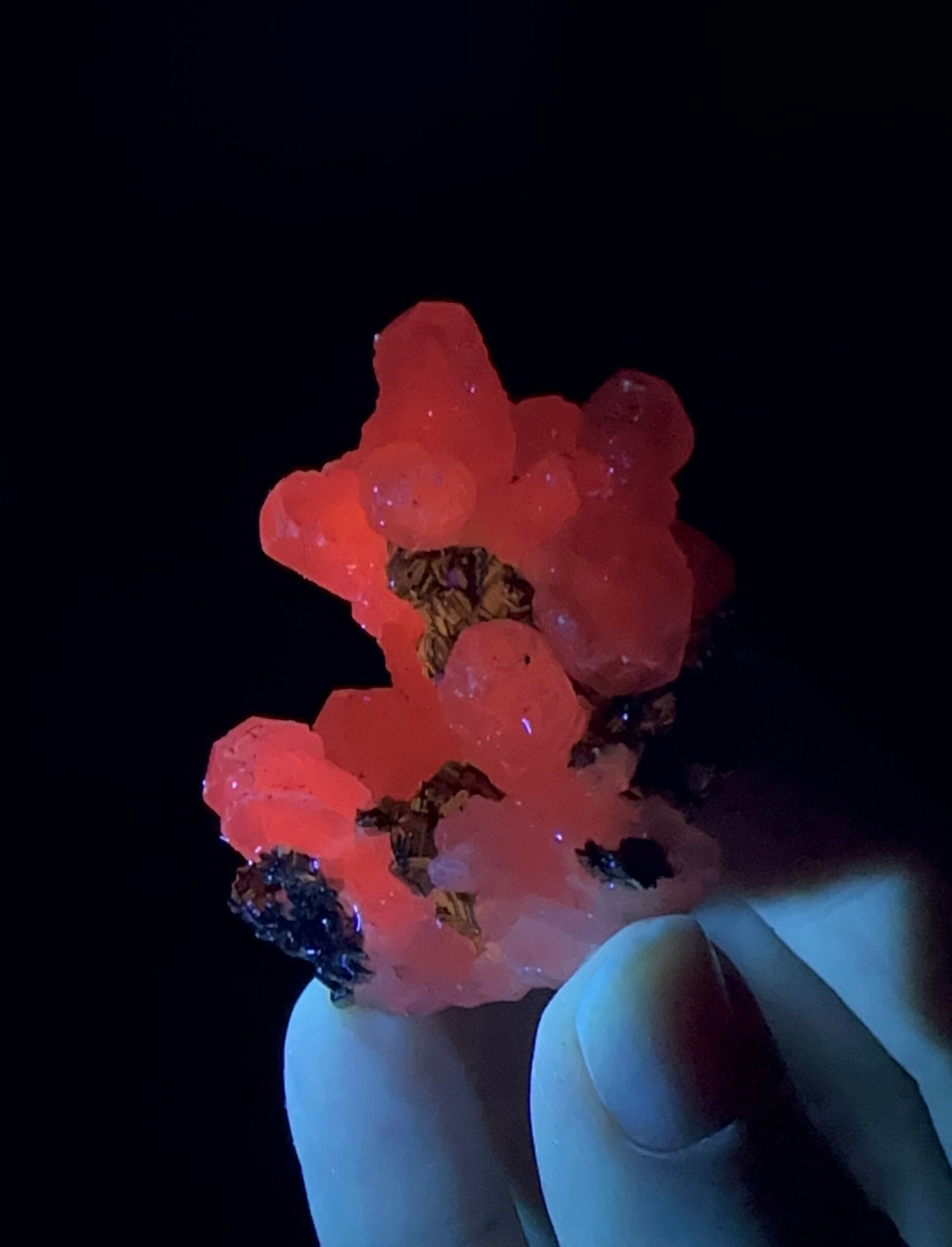 Pyrite & Fluorescent Calcite Cluster from Trepça Mines, Kosovo