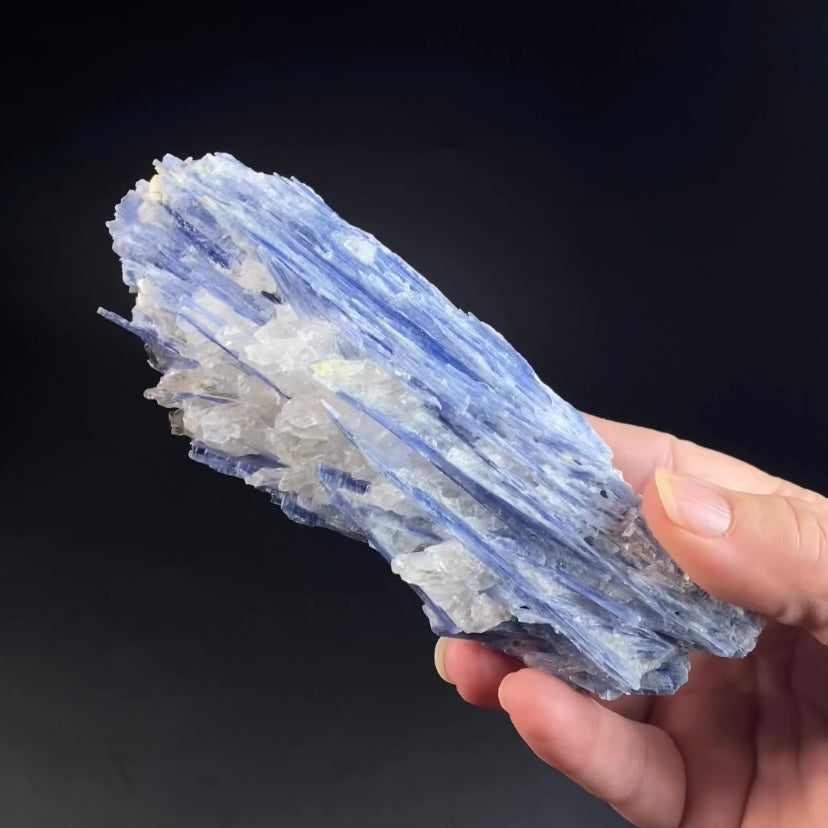 Blue Kyanite and Quartz Specimen from Minas Gerais, Brazil