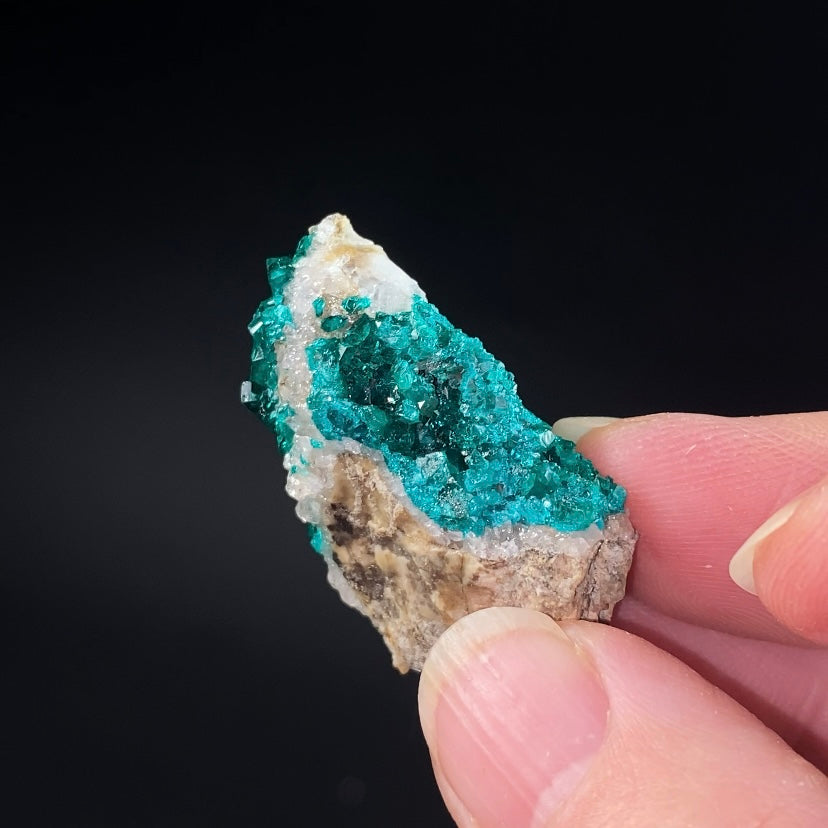 Dioptase Crystals on Quartz Rich Matrix from Kazakhstan