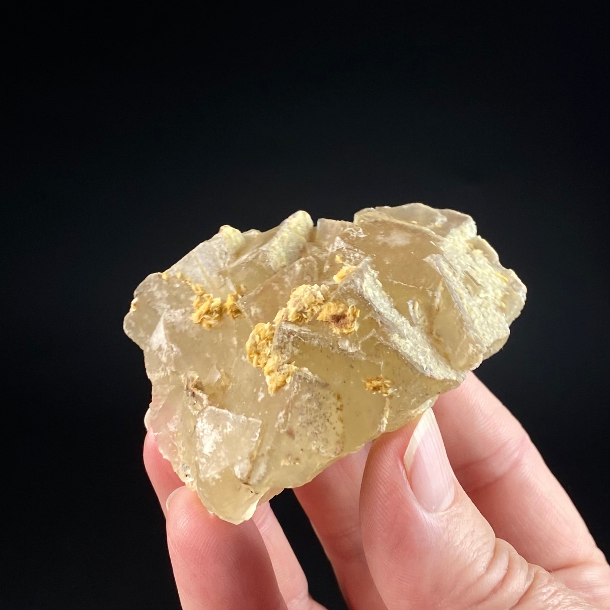 Yellow Cubic Fluorite Cluster with Barite, El Hammam Mine