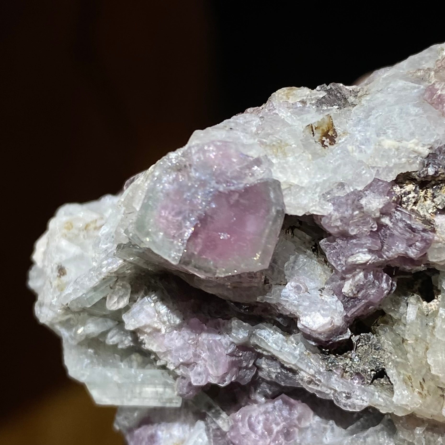 Pale Green & Pink Watermelon Tourmaline Crystal with Lepidolite & Cleavelandite