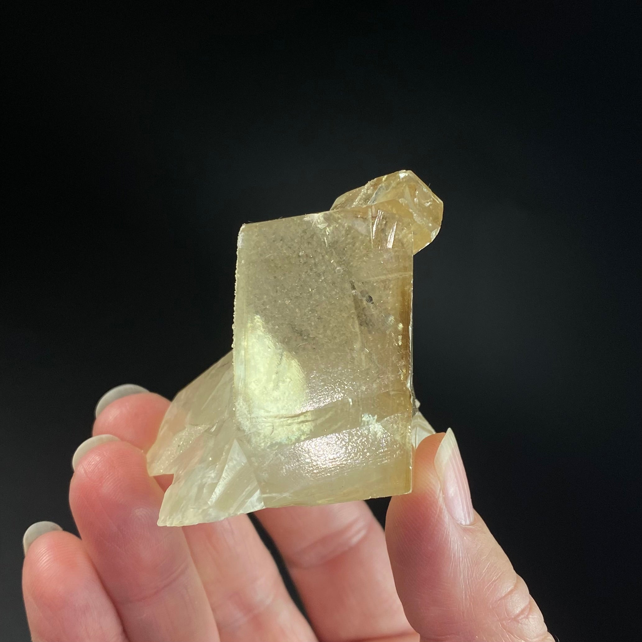 Golden Calcite Crystal Cluster with Druzy Clear Apophyllite