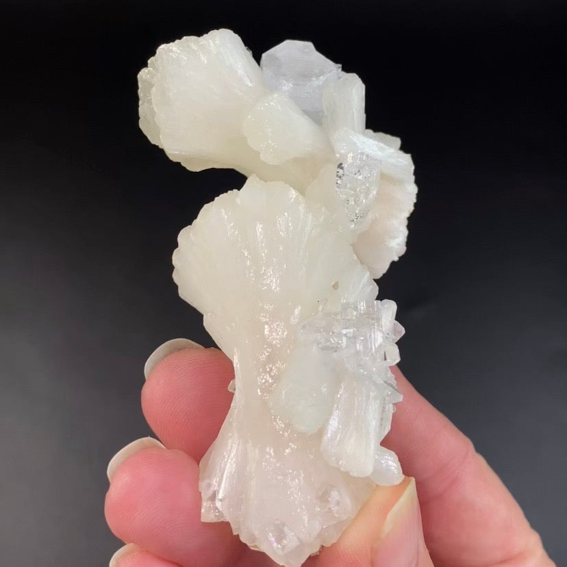 White Stilbite Bow Tie Cluster with Clear Apophyllite Crystals
