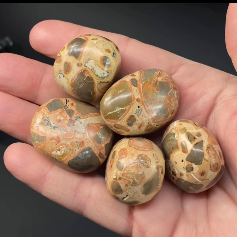 Leopard Skin Rhyolite Jasper Tumble Stone - Phosphorescent Glow with UV