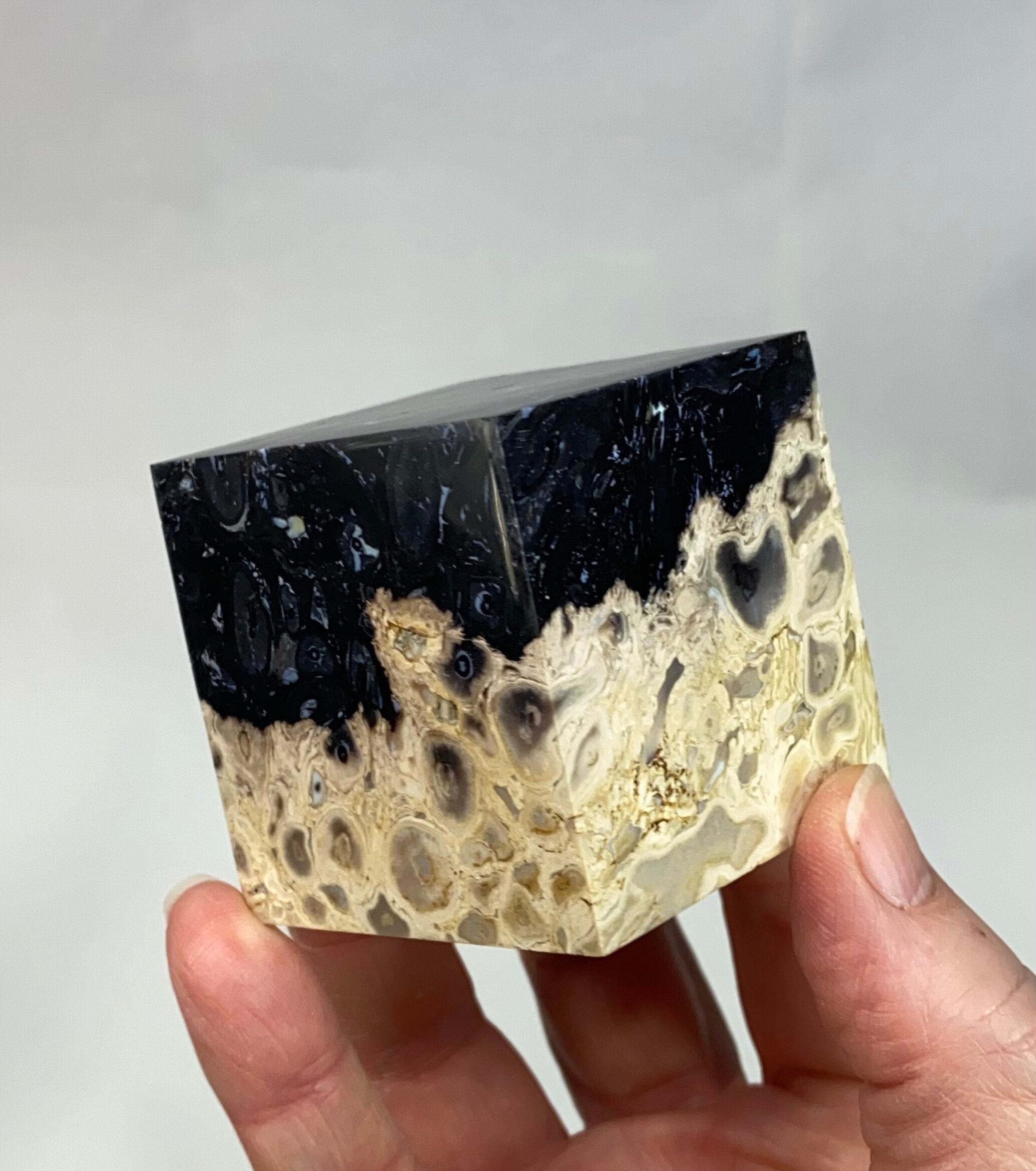 Fossilized Palm Root Ball Polished Cube from Sumatra, Indonesia