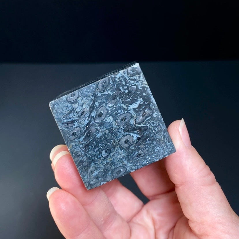 Fossilized Palm Root Ball Polished Cube from Sumatra, Indonesia
