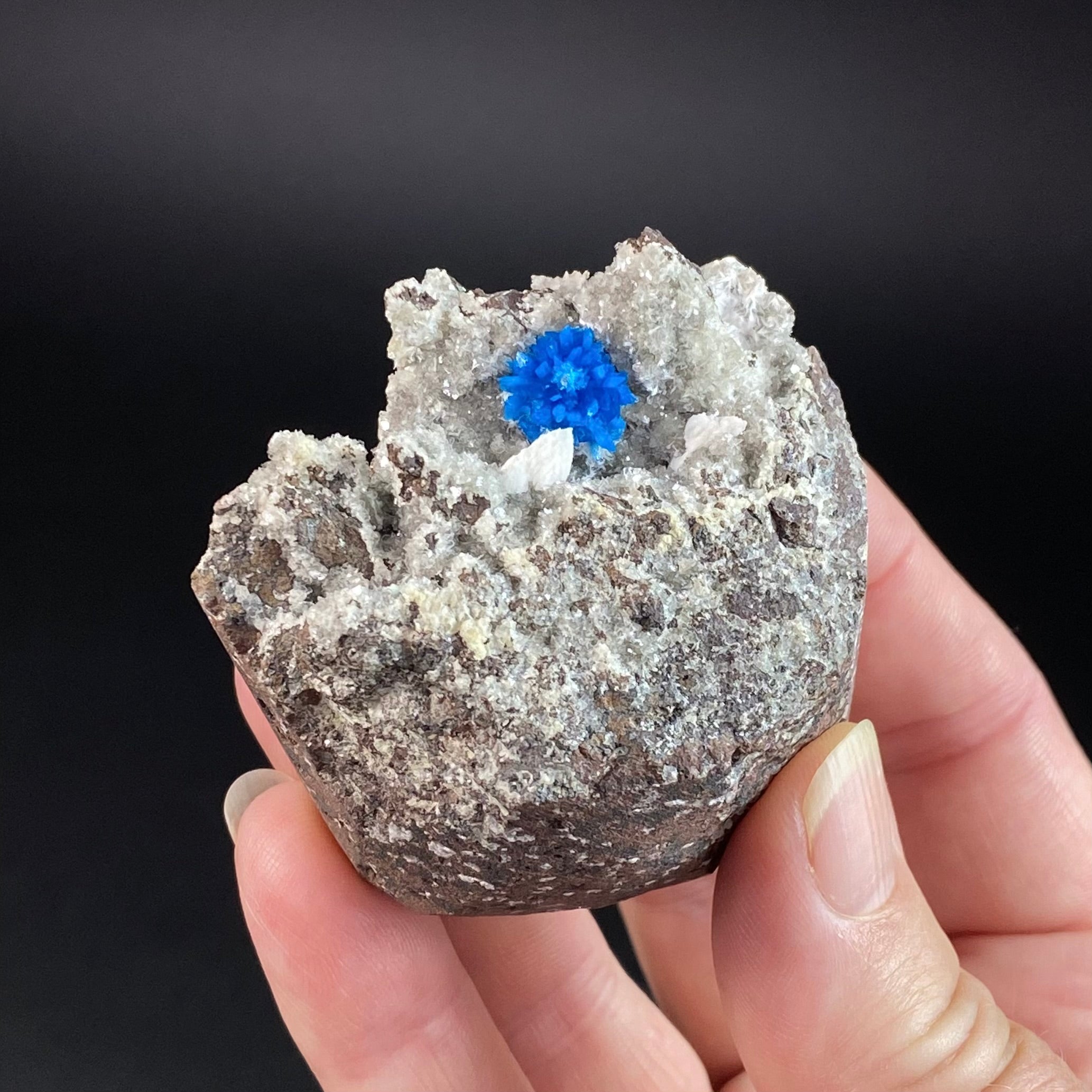 Vibrant Blue Cavansite Cluster on Druzy Stilbite & Basalt Matrix