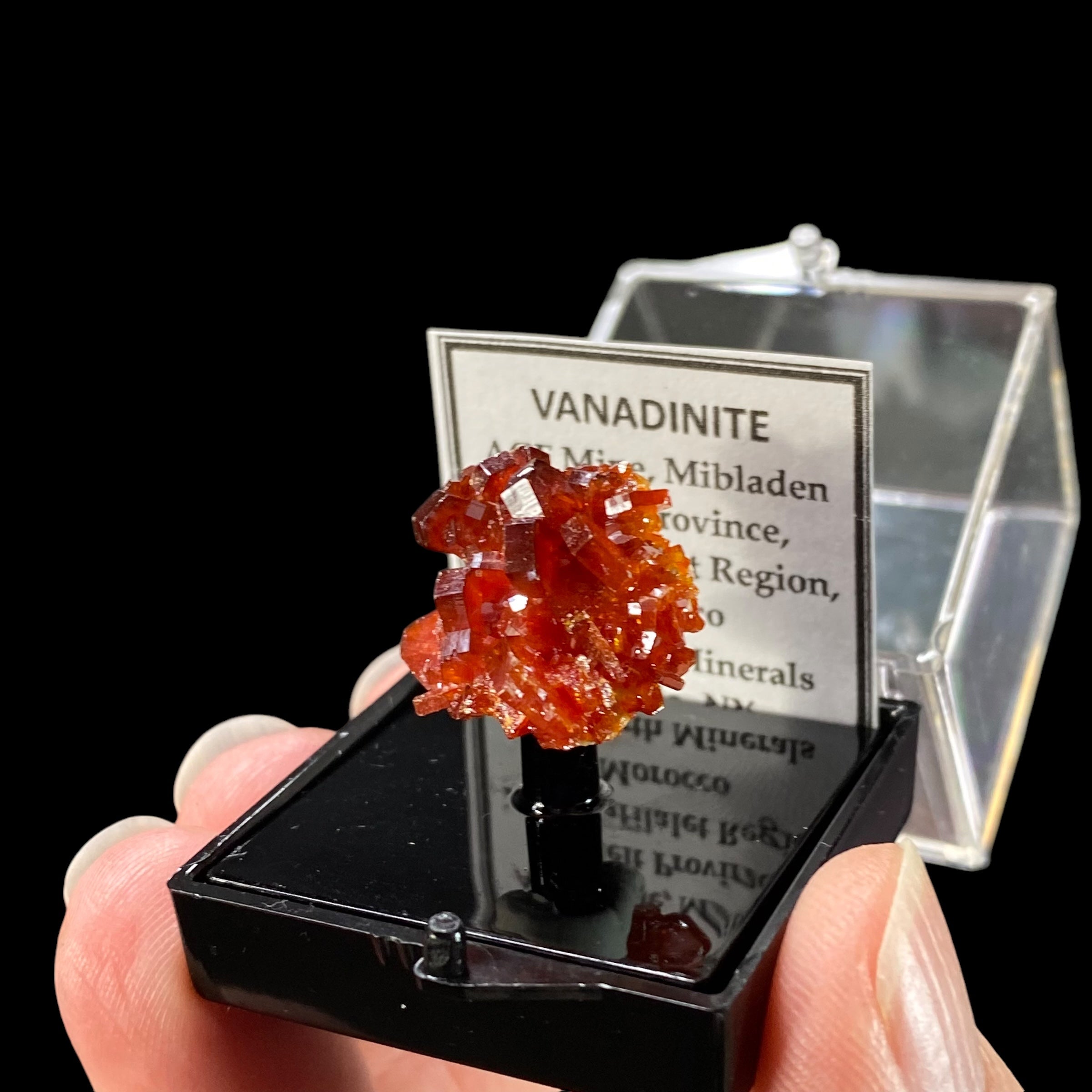 Gemmy Vanadinite Thumbnail Size Cluster in Perky Box